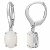 Stella Grace 10k White Gold Opal & Diamond Accent Drop Earrings