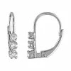 Stella Grace Sterling Silver 1/4 Carat T.W. Diamond Leverback Earrings