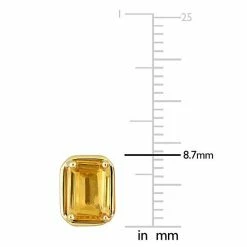 Stella Grace 14k Gold Octagon Citrine Stud Earrings 8 Stella Grace 14k Gold Octagon Citrine Stud Earrings -Stella Grace Sales unnamed file 8041